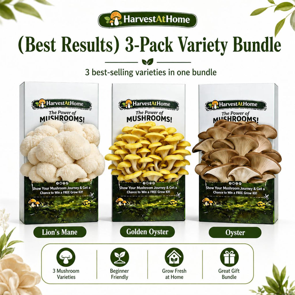 Harvest At Home Edible Organic Oyster Mushroom Grow Kit