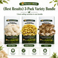 Harvest At Home Edible Organic Oyster Mushroom Grow Kit