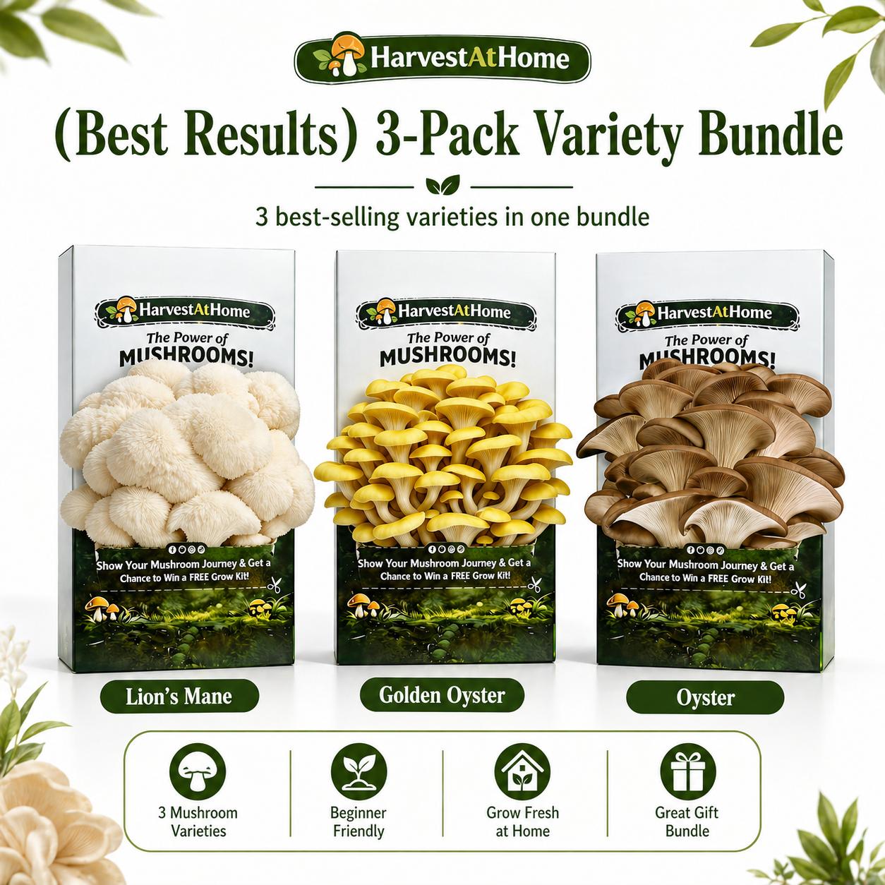 Harvest At Home Edible Organic Oyster Mushroom Grow Kit