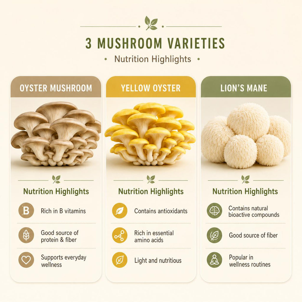 Harvest At Home Edible Organic Oyster Mushroom Grow Kit