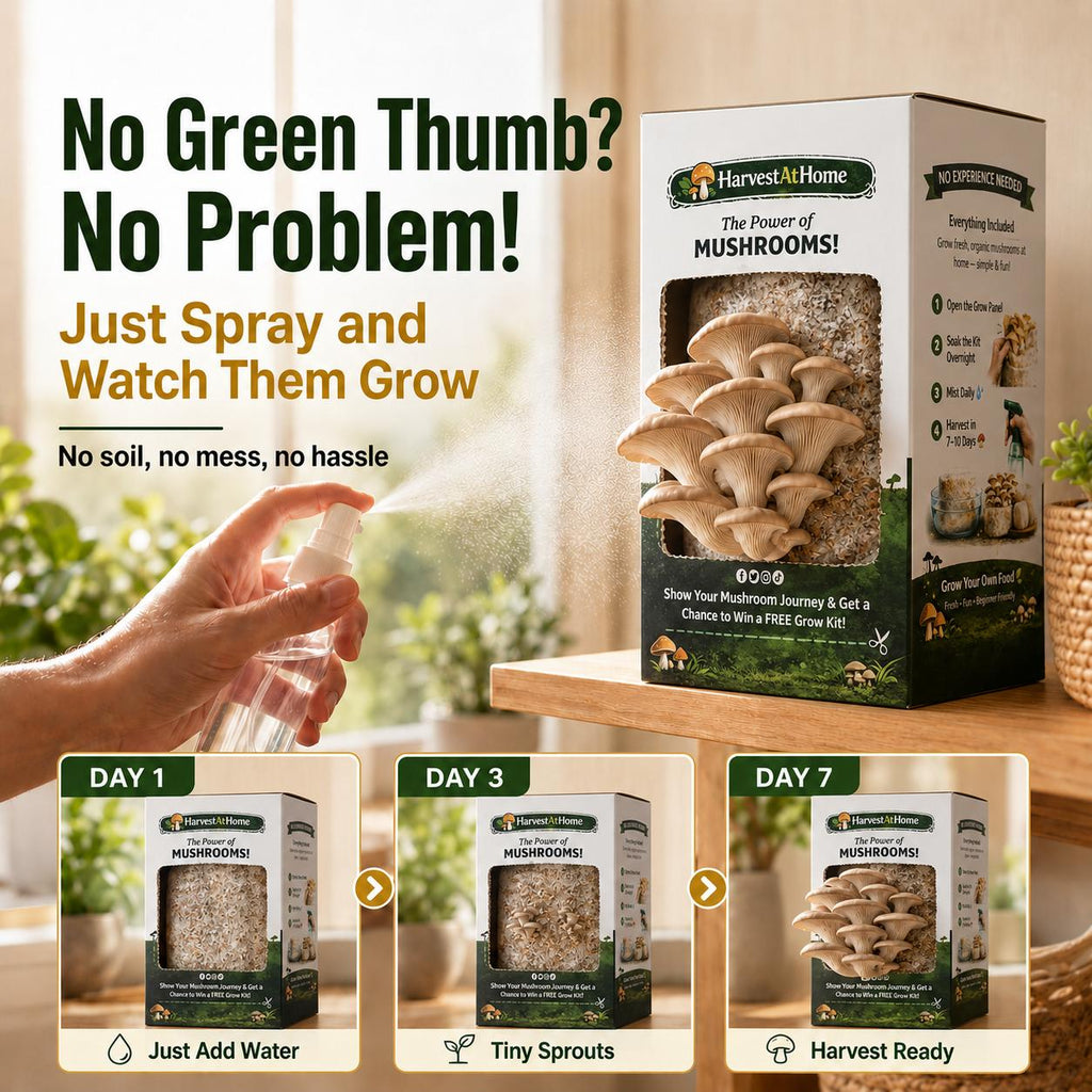 Harvest At Home Edible Organic Oyster Mushroom Grow Kit