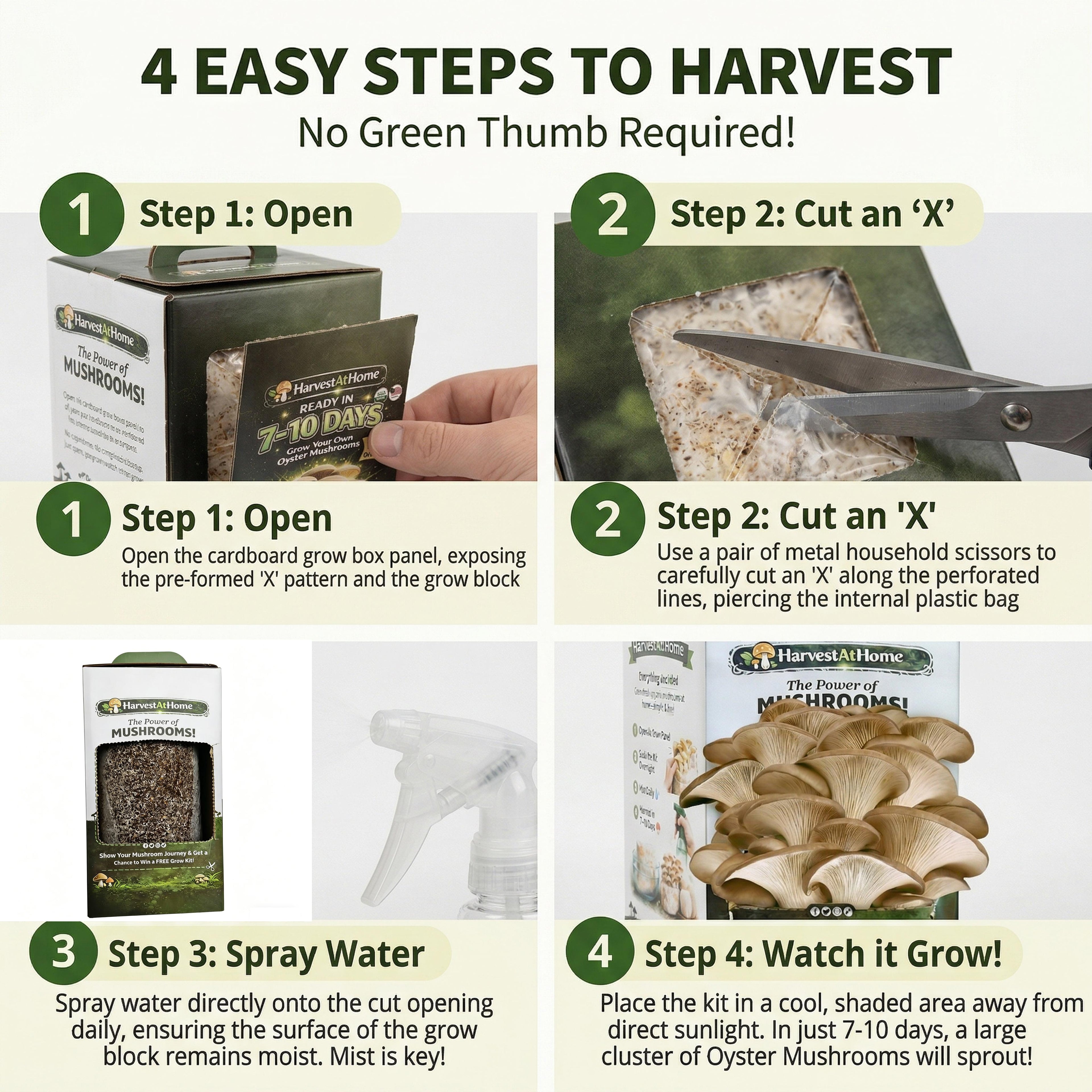 Harvest At Home Edible Organic Oyster Mushroom Grow Kit