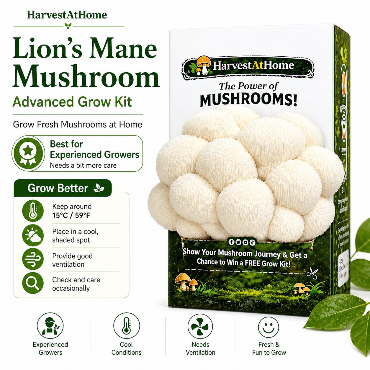 Harvest At Home Edible Organic Oyster Mushroom Grow Kit