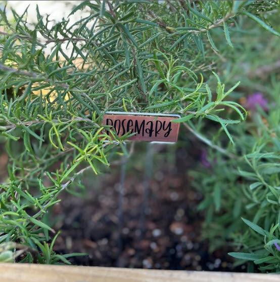 Bulk Copper Plant Markers for Gardens & Potted Plants
