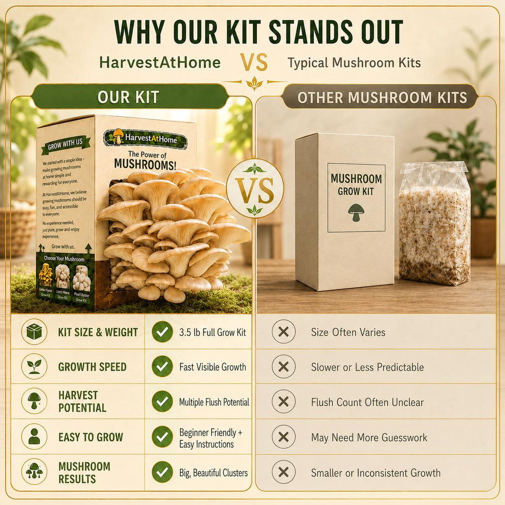 Harvest At Home Edible Organic Oyster Mushroom Grow Kit