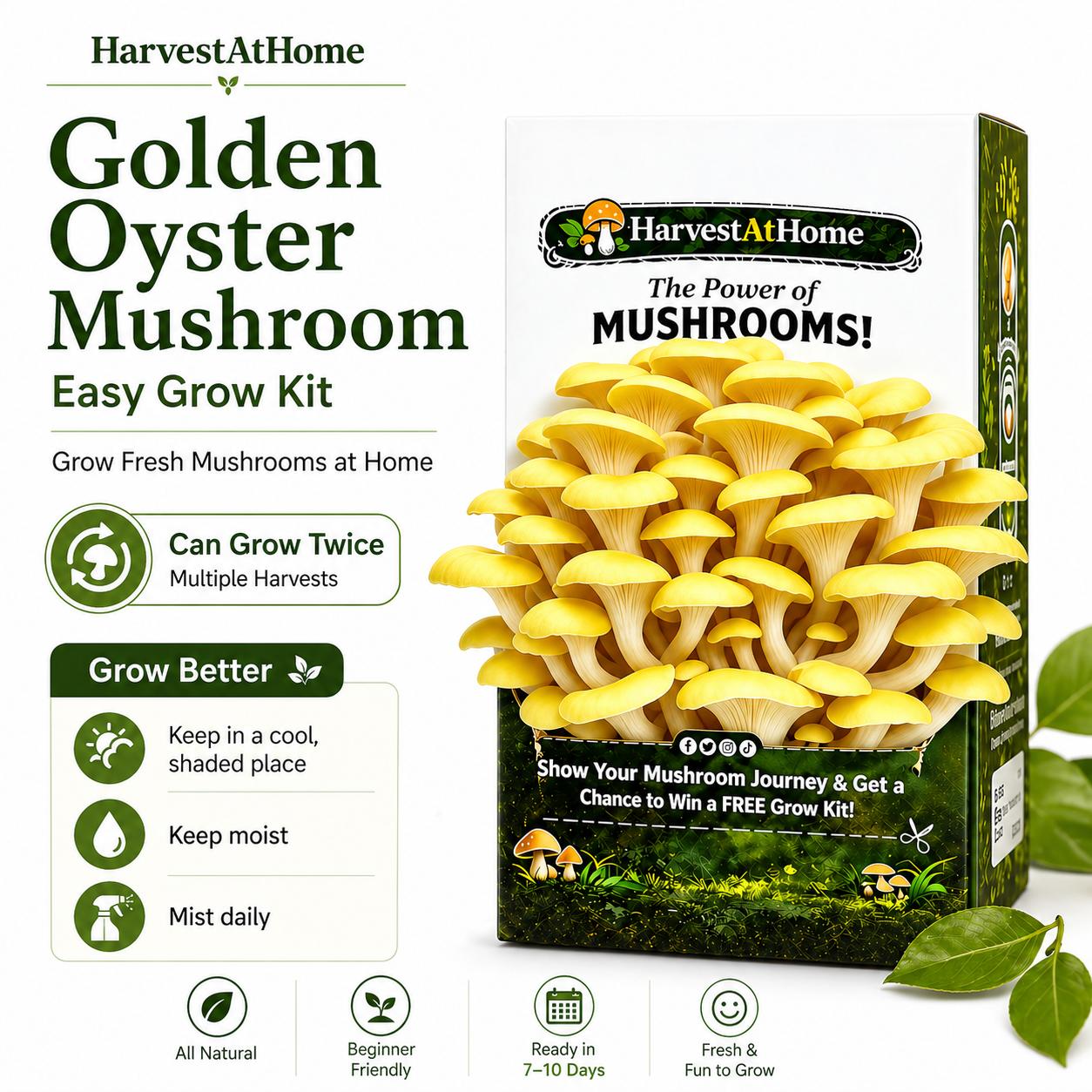 Harvest At Home Edible Organic Oyster Mushroom Grow Kit