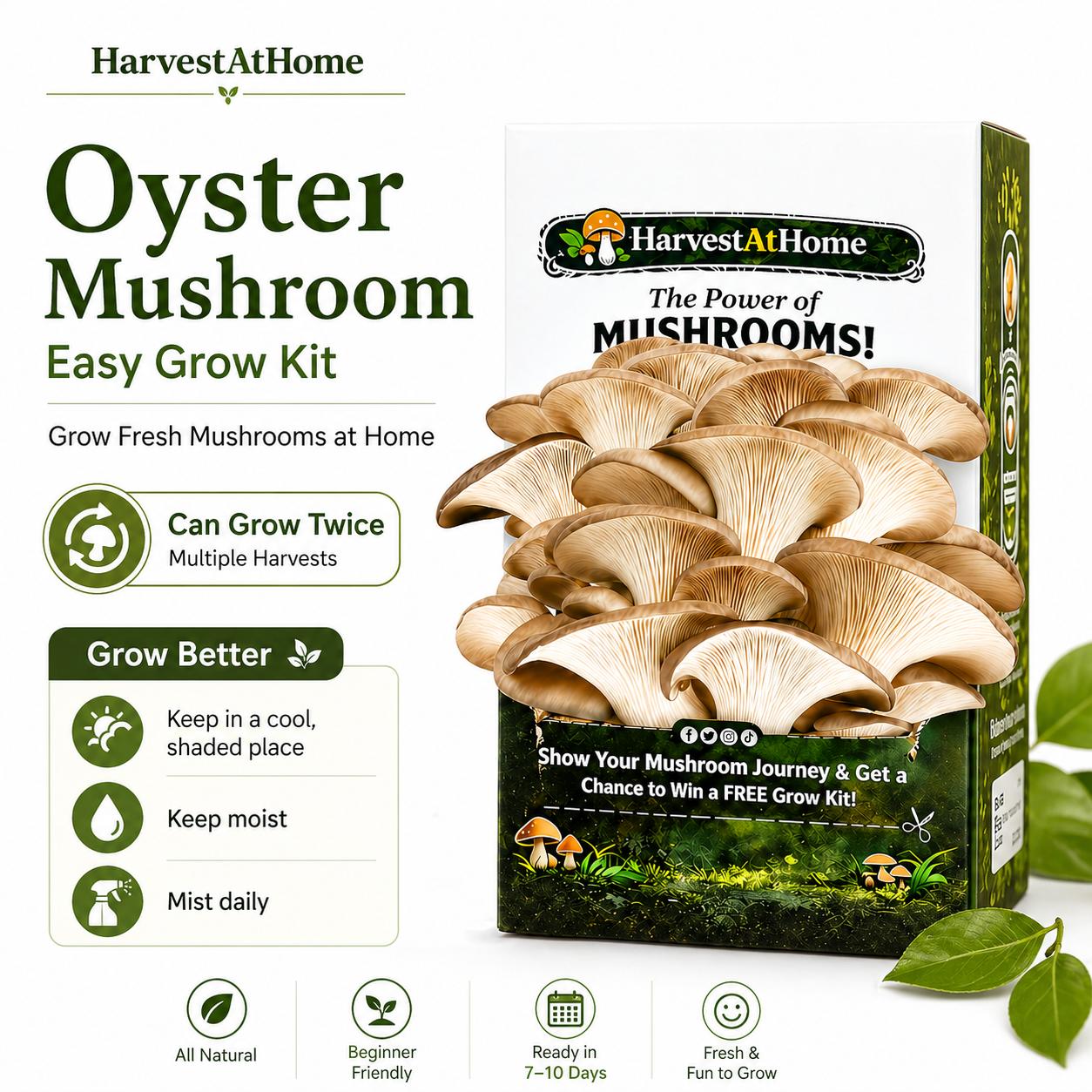 Harvest At Home Edible Organic Oyster Mushroom Grow Kit