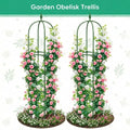 2-Pack Garden Obelisk Trellis Rustproof