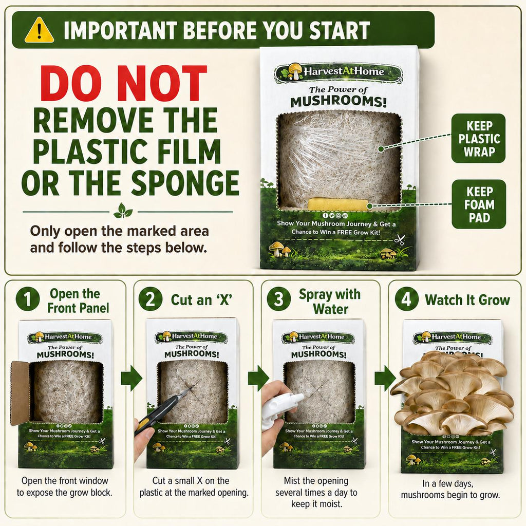 Harvest At Home Edible Organic Oyster Mushroom Grow Kit